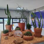 serviço de paisagismo - decoração de ambientes internos no recife