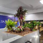 serviço de paisagismo - decoração de ambientes internos no recife