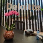 serviço de paisagismo - decoração de ambientes internos no recife