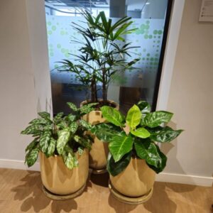serviço de paisagismo - decoração de ambientes internos no recife