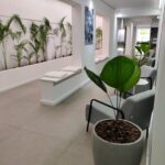 serviço de paisagismo - decoração de ambientes internos no recife