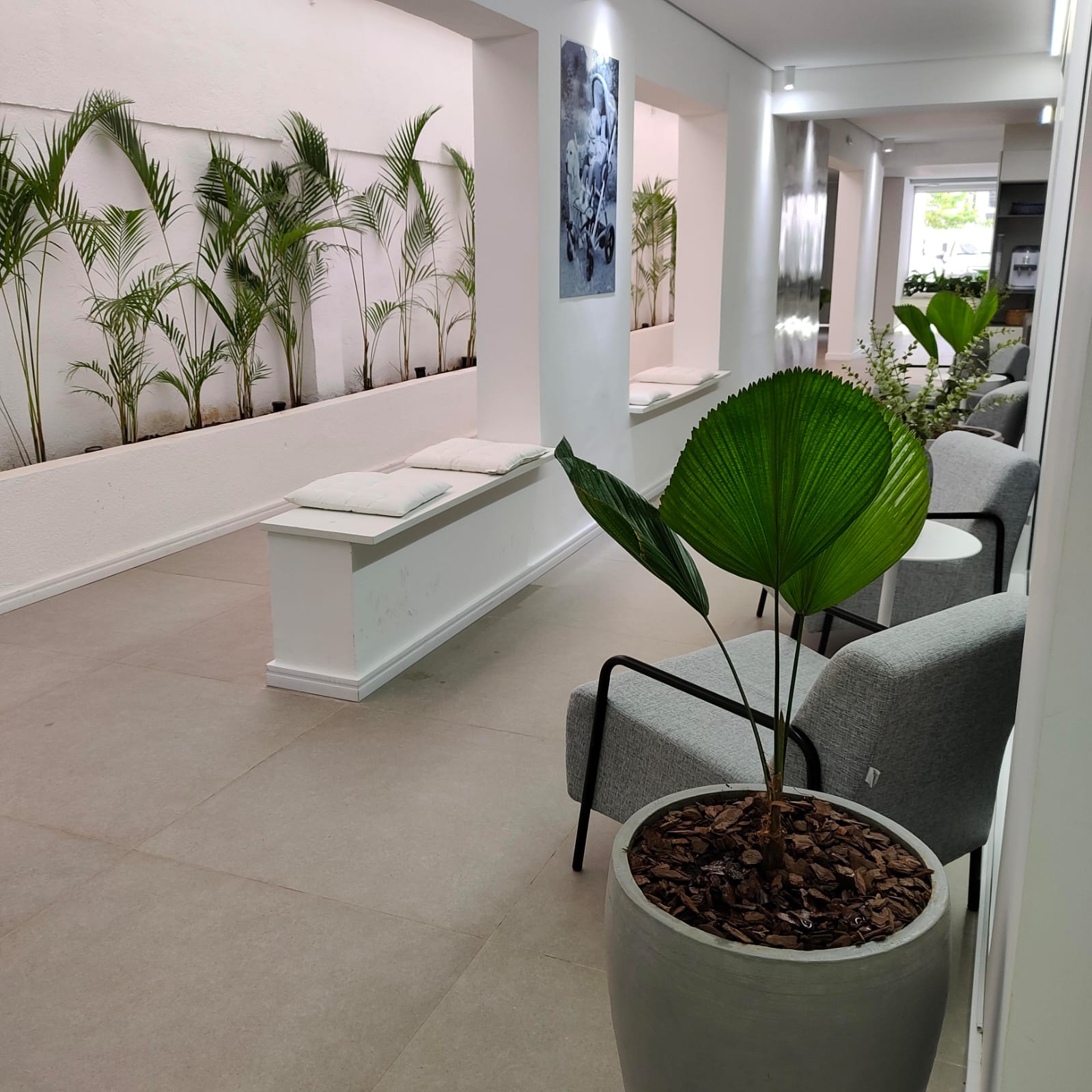 serviço de paisagismo - decoração de ambientes internos no recife
