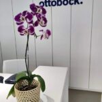 serviço de paisagismo - decoração de ambientes internos no recife