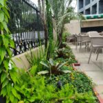 serviço de decoração interna - decoração de jardim - paisagismo em pátios internos - restaurante papa capim recife