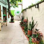 serviço de decoração interna - decoração de jardim - paisagismo em pátios internos - restaurante papa capim recife