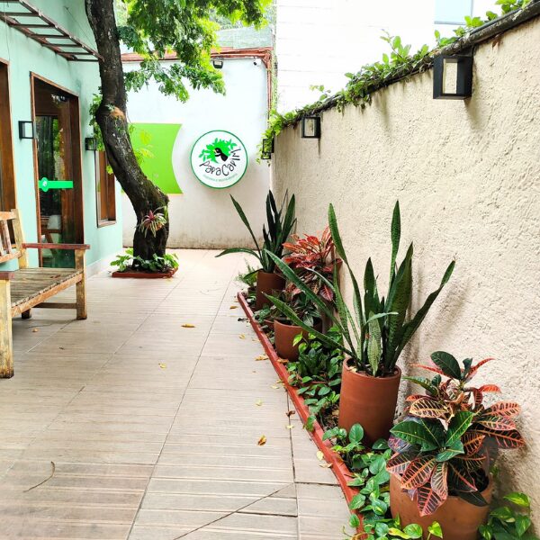 serviço de decoração interna - decoração de jardim - paisagismo em pátios internos - restaurante papa capim recife