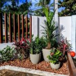 serviço de paisagismo - decoração de jardim - casa de praia em porto de galinhas