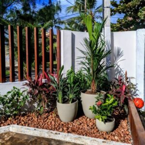 serviço de paisagismo - decoração de jardim - casa de praia em porto de galinhas