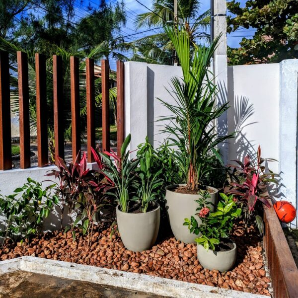 serviço de paisagismo - decoração de jardim - casa de praia em porto de galinhas