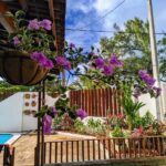 serviço de paisagismo - decoração de jardim - casa de praia em porto de galinhas