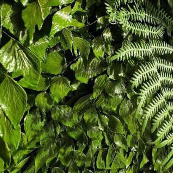 Detalhe da textura do musgo preservado